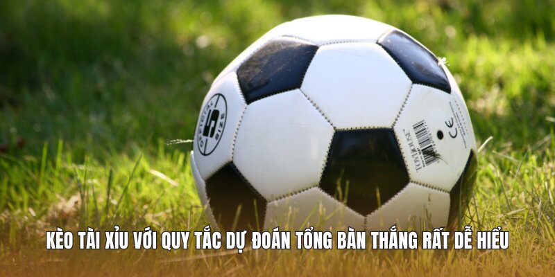 Kèo Tài Xỉu với quy tắc dự đoán tổng bàn thắng rất dễ hiểu