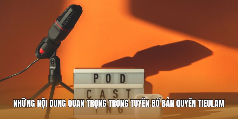 Những nội dung quan trọng trong tuyên bố bản quyền Tieulam 