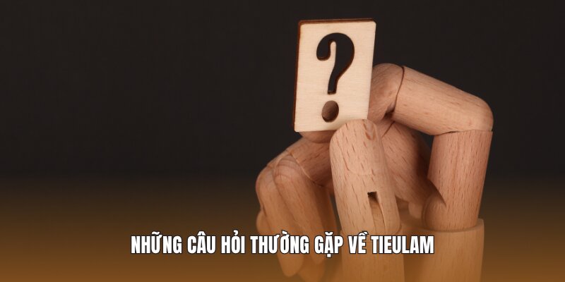 Những câu hỏi thường gặp về trang tin Tieulam