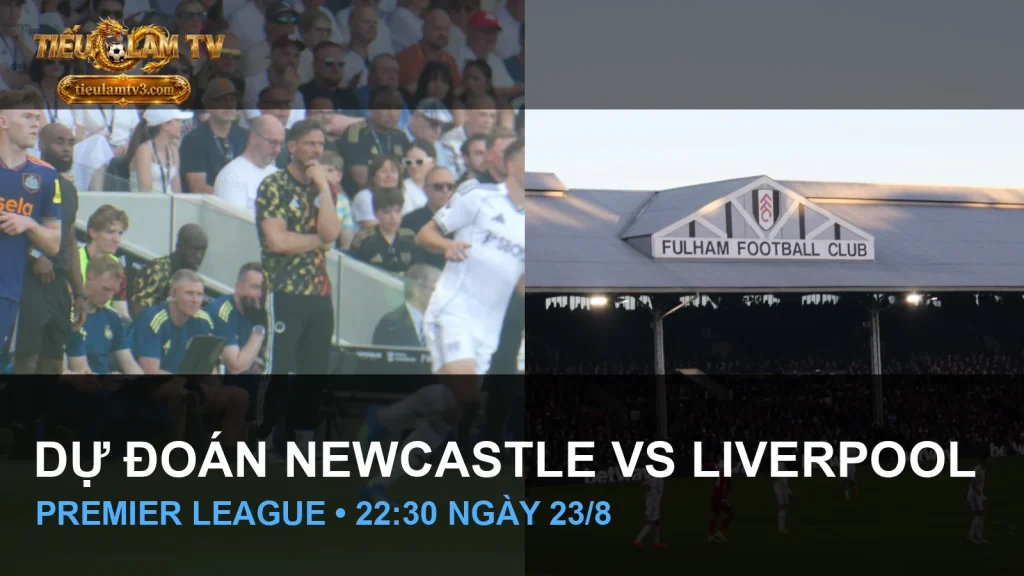 Newcastle United và Liverpool trong ảnh thi đấu năm 2026