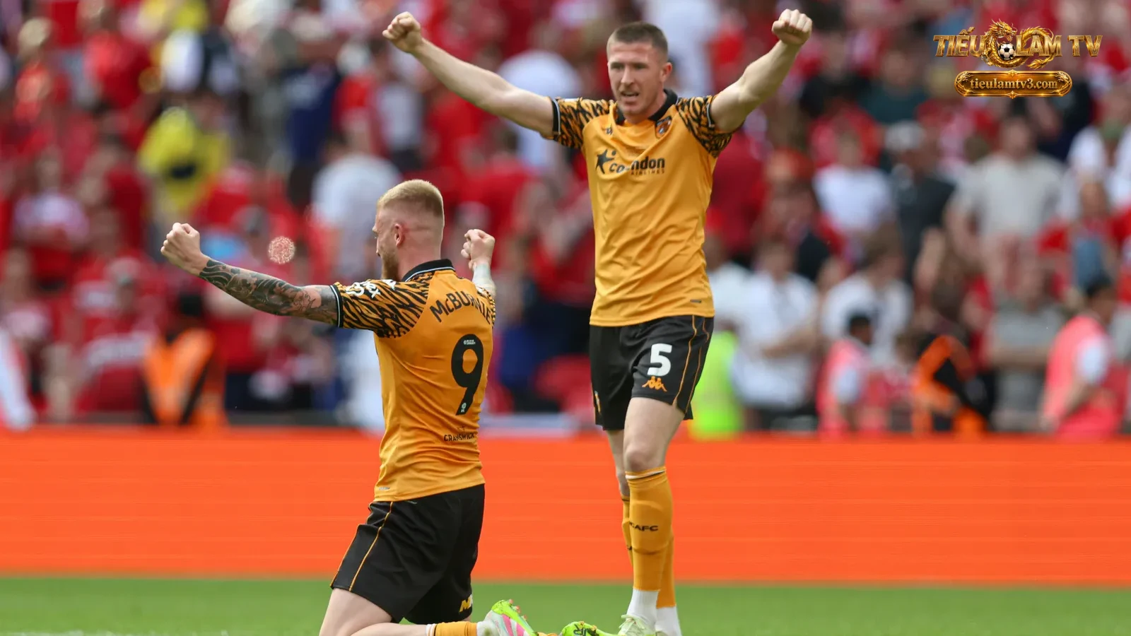 Hull City — ảnh tư liệu của đội bóng