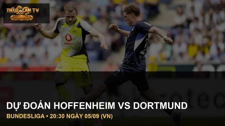 Cầu thủ TSG Hoffenheim vs Borussia Dortmund trong ảnh trận đấu thực tế